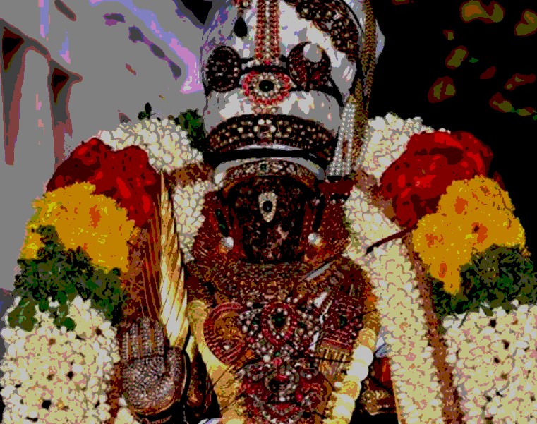 Thiruvallikeni-Sri-Parthasarathy-Swamy7