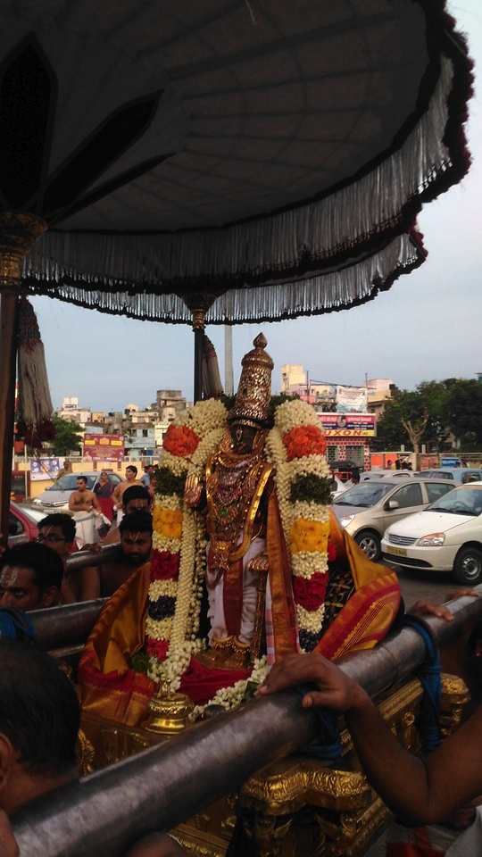 Thiruvallikeni-Sri-Parthasarathy-Swamy_01