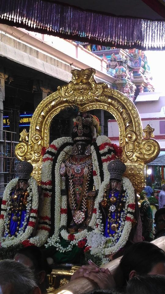 Thiruvallikeni-Sri-Parthasarathy-Swamy_05