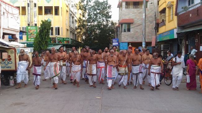 Thiruvallikeni-Sri-Parthasarathy-Swamy_06