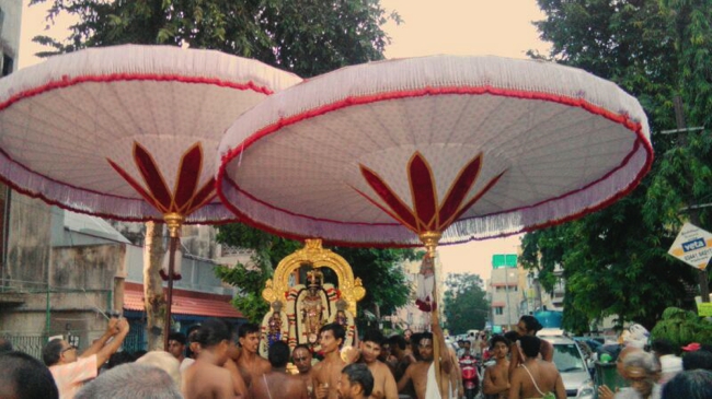 Thiruvallikeni-Sri-Parthasarathy-Swamy_08