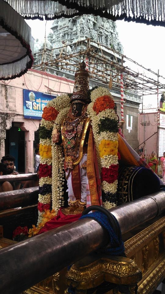 Thiruvallikeni-Sri-Parthasarathy-Swamy_10
