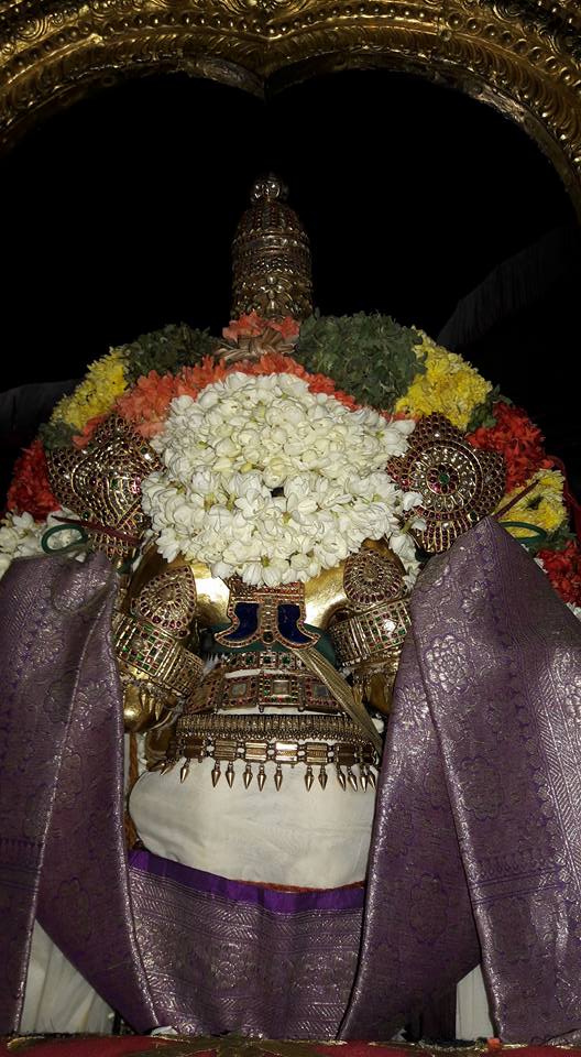 Thiruvallur-Sri-Veeraraghava-Perumal11