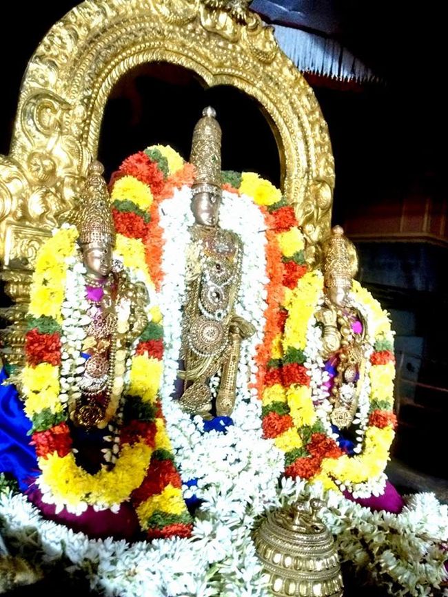 Thiruvallur-Sri-Veeraraghava-Perumal12