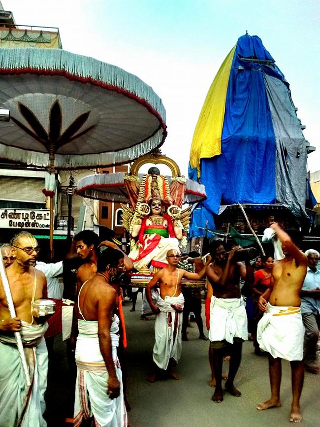 Thiruvallur-Sri-Veeraraghava-Perumal14