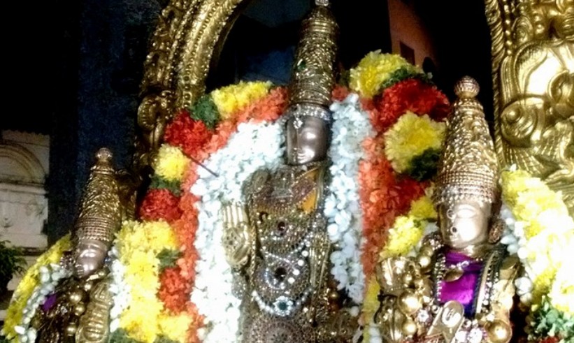 Thiruvallur-Sri-Veeraraghava-Perumal15