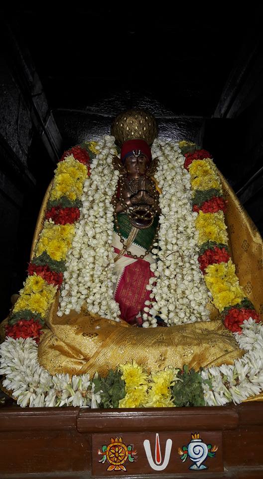 Thiruvallur-Sri-Veeraraghava-Perumal18