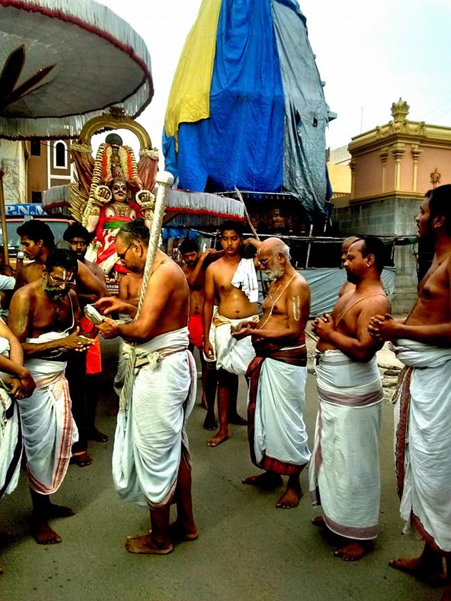 Thiruvallur-Sri-Veeraraghava-Perumal19