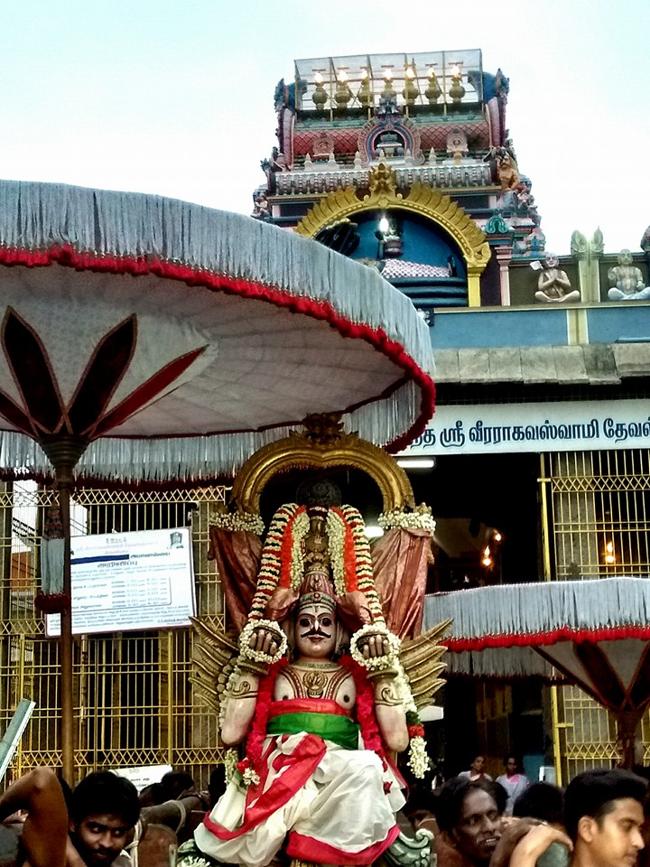 Thiruvallur-Sri-Veeraraghava-Perumal23