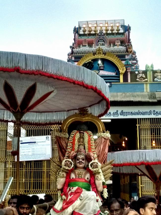 Thiruvallur-Sri-Veeraraghava-Perumal24