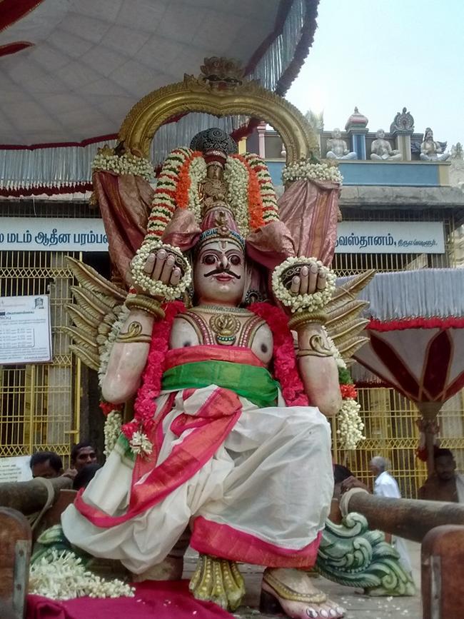 Thiruvallur-Sri-Veeraraghava-Perumal6