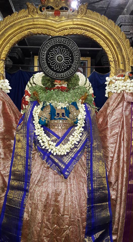 Thiruvallur-Sri-Veeraraghava-Perumal8