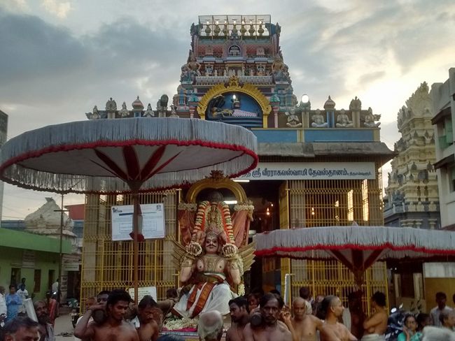 Thiruvallur-Sri-Veeraraghava-Perumal9