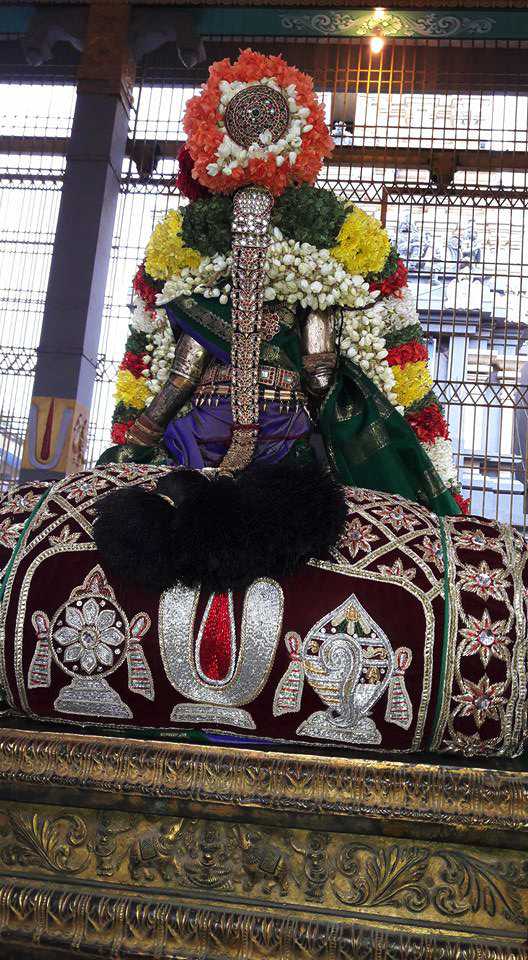 Thiruvallur-Sri-Veeraraghava-Perumal_02