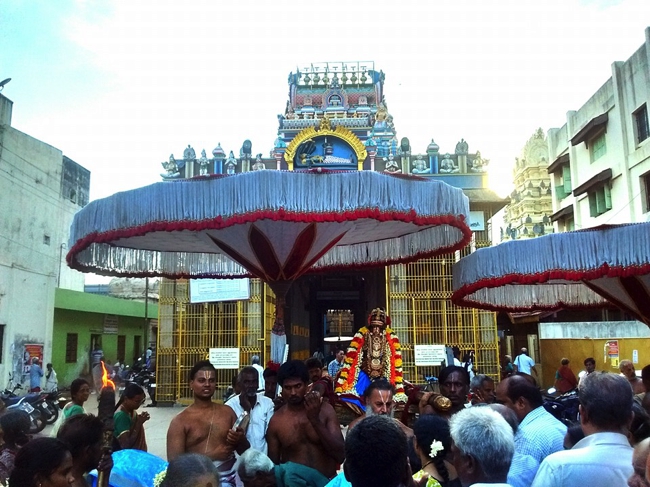 Thiruvallur-Sri-Veeraraghava-Perumal_10