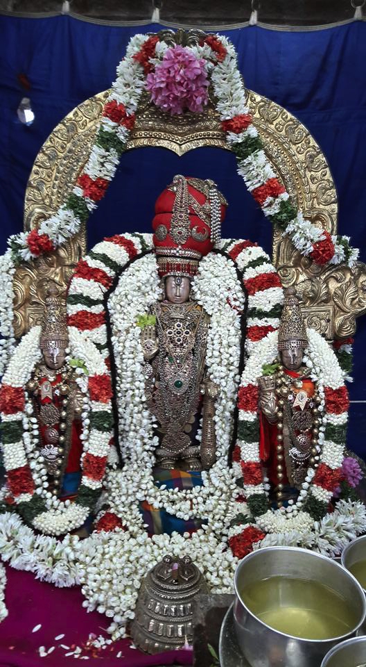 Thiruvallur-Sri-Veeraraghava-Perumal_12