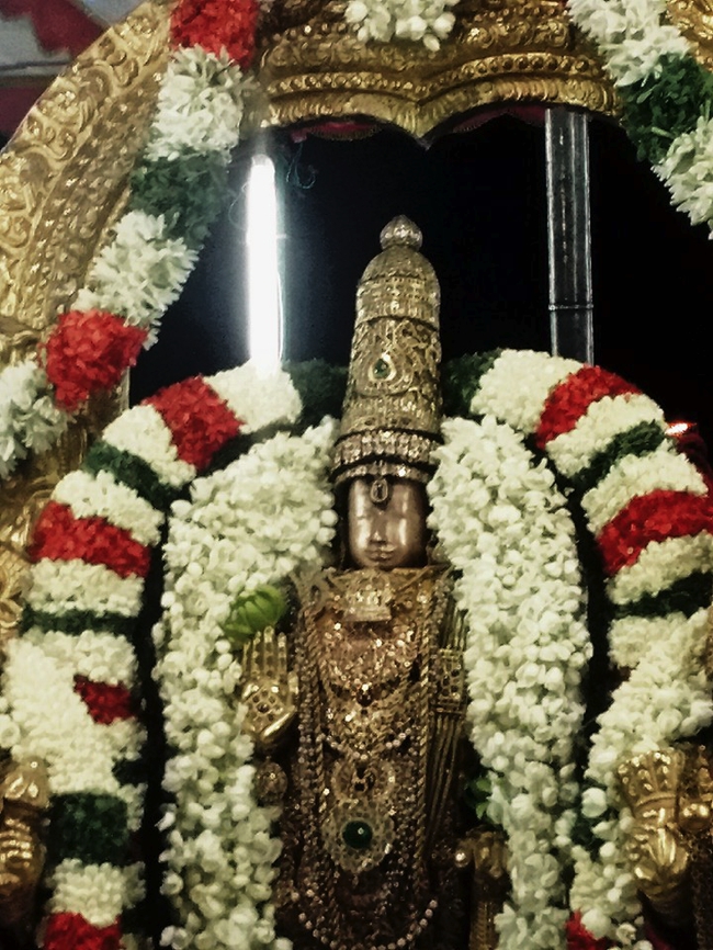 Thiruvallur-Sri-Veeraraghava-Perumal_14