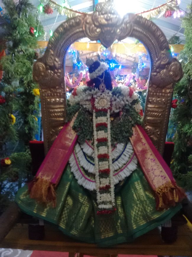 Thiruvelukkai-Sri-Amrithavalli-Thayar11