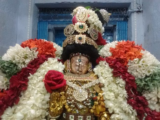 Thiruvelukkai-Sri-Amrithavalli-Thayar32