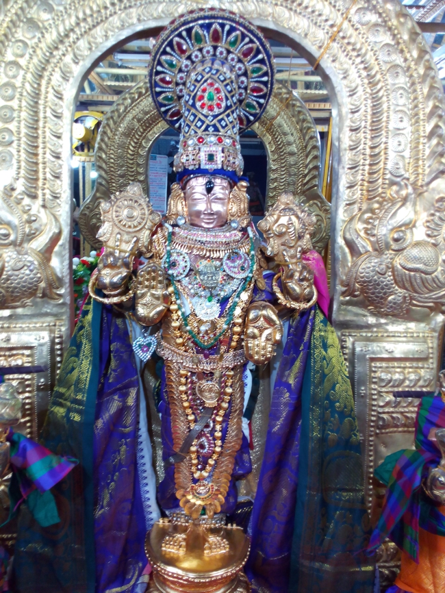 Thiruvelukkai_Sri_Azhagiyasinga_Perumal_Temple_Periyazhwar_Sattumarai_01
