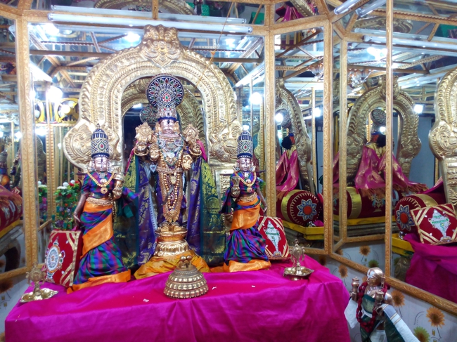 Thiruvelukkai_Sri_Azhagiyasinga_Perumal_Temple_Periyazhwar_Sattumarai_05