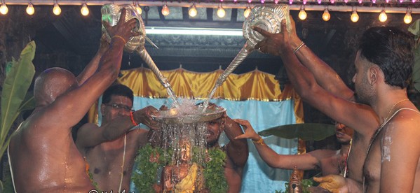 Tirupathi-Sri-Govindarajaswamy7