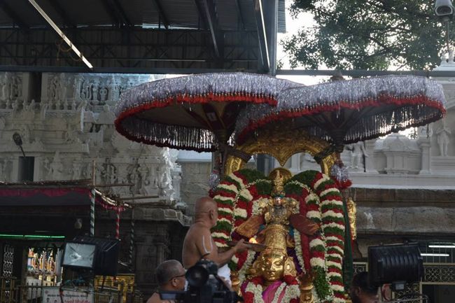 Tirupathi-Sri-Govindarajaswamy8