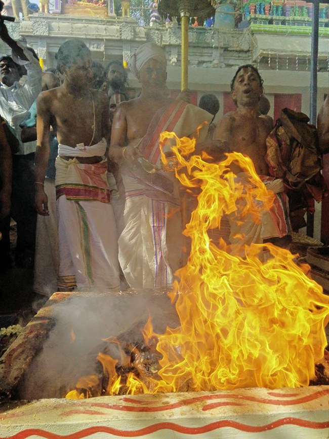 Velacery_Sri_yoga_Narasimha_Perumal_Temple_13