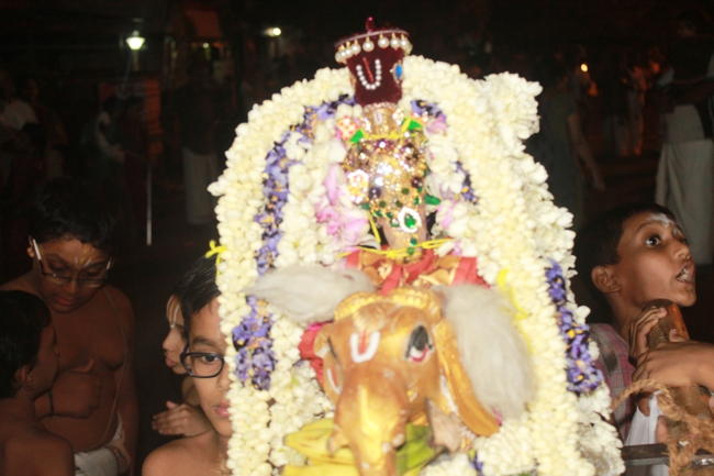 West_Mambalam_Sri_Sathyanarayana_Perumal_Temple_Aani_Brahmotsavam_Day6_Evening_10