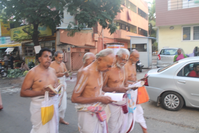 West_Mambalam_Sri_Sathyanarayana_Perumal_Temple_Aani_Brahmotsavam_Day8_Morning_10