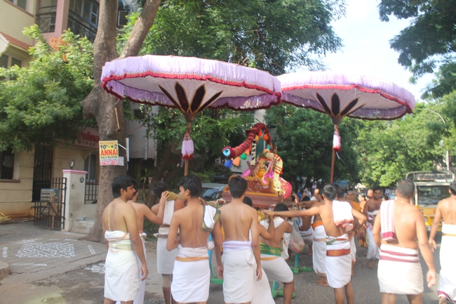 West_Mambalam_Sri_Sathyanarayana_Perumal_Temple_Aani_Brahmotsavam_Day8_Morning_11