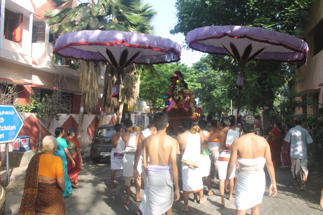 West_Mambalam_Sri_Sathyanarayana_Perumal_Temple_Aani_Brahmotsavam_Day8_Morning_20