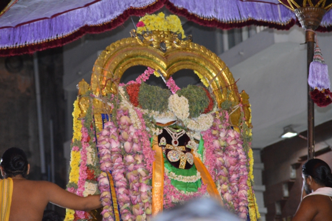 West_Mambalam_Sri_Sathyanarayana_Perumal_Temple_Brahmotsavam_Day5_Evening_06