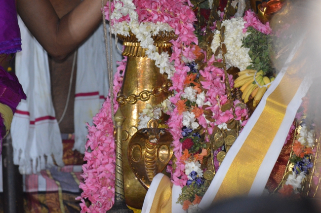 West_Mambalam_Sri_Sathyanarayana_Perumal_Temple_Brahmotsavam_Day5_Evening_19