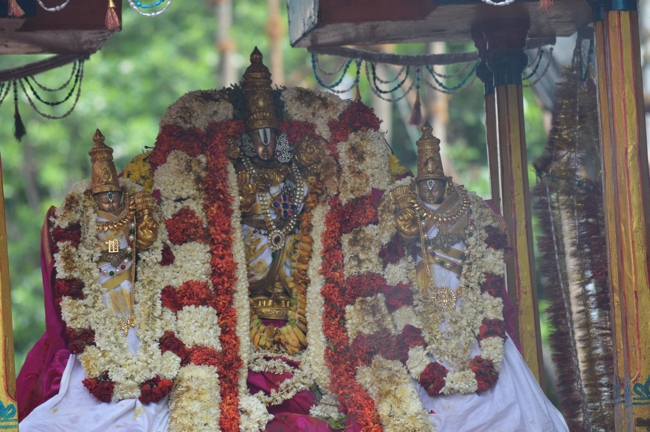West_Mambalam_Sri_Sathyanarayana_Perumal_Temple_Brahmotsavam_Day6_Morning_01