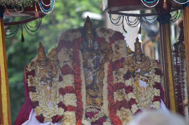 West_Mambalam_Sri_Sathyanarayana_Perumal_Temple_Brahmotsavam_Day6_Morning_05