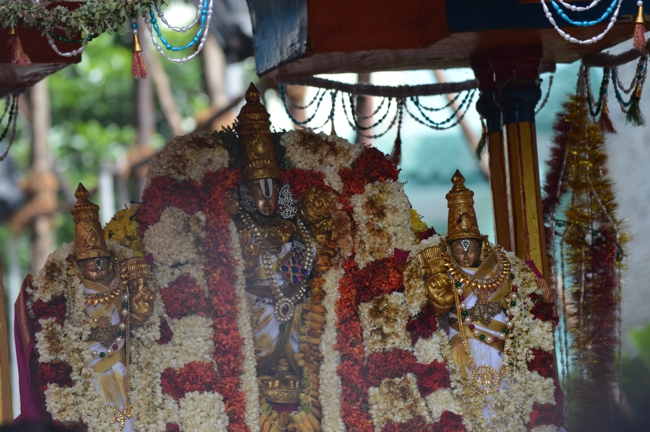 West_Mambalam_Sri_Sathyanarayana_Perumal_Temple_Brahmotsavam_Day6_Morning_09