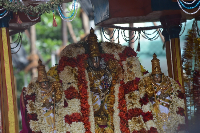 West_Mambalam_Sri_Sathyanarayana_Perumal_Temple_Brahmotsavam_Day6_Morning_10