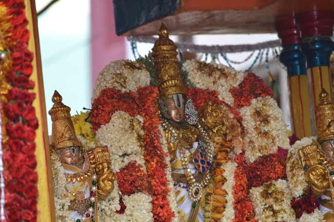 West_Mambalam_Sri_Sathyanarayana_Perumal_Temple_Brahmotsavam_Day6_Morning_11