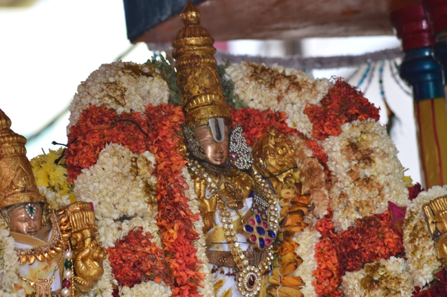 West_Mambalam_Sri_Sathyanarayana_Perumal_Temple_Brahmotsavam_Day6_Morning_12