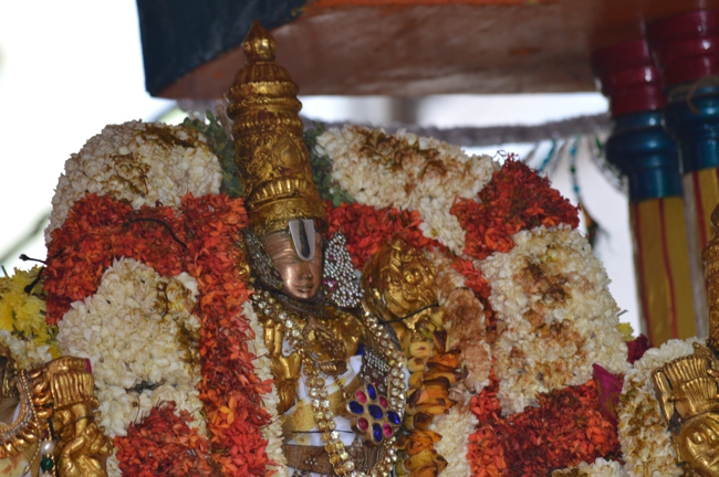 West_Mambalam_Sri_Sathyanarayana_Perumal_Temple_Brahmotsavam_Day6_Morning_13