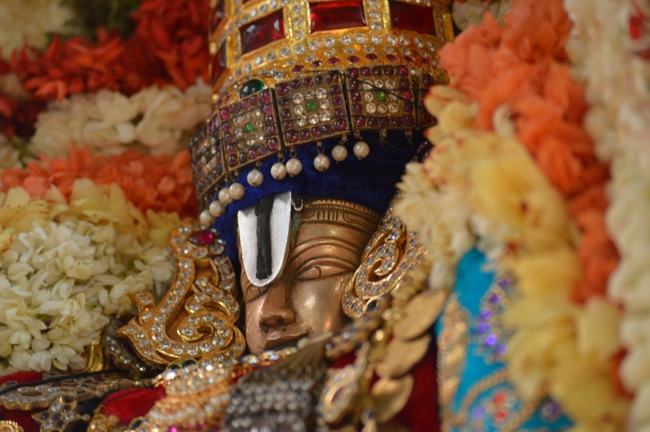 West_Mambalam_Sri_Sathyanarayana_Perumal_Temple_Day4_06