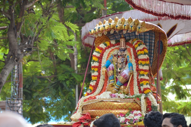West_Mambalam_Sri_Sathyanarayana_Perumal_Temple_Day4_11