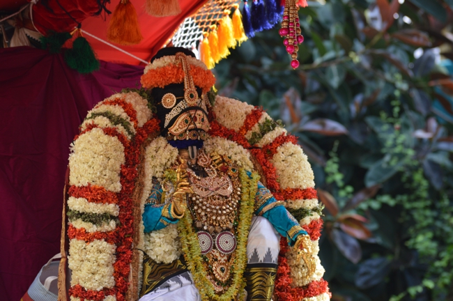 West_Mambalam_Sri_Sathyanarayana_Perumal_Temple_Day5_11