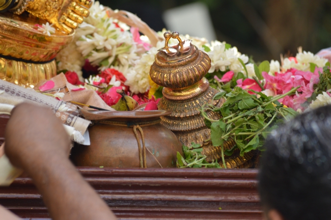 West_Mambalam_Sri_Sathyanarayana_Perumal_Temple_Day5_17