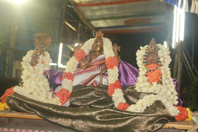 West_Mambalam_Sri_Sathyanarayana_Perumal_Temple_Day9_Evening_12