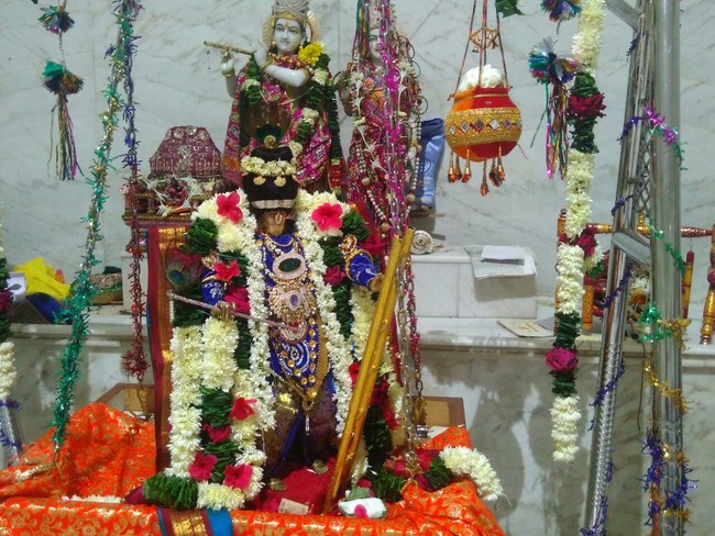 Hazira Sri Balaji Temple Durmukhi Varusha Oonjal Utsavam Commences3