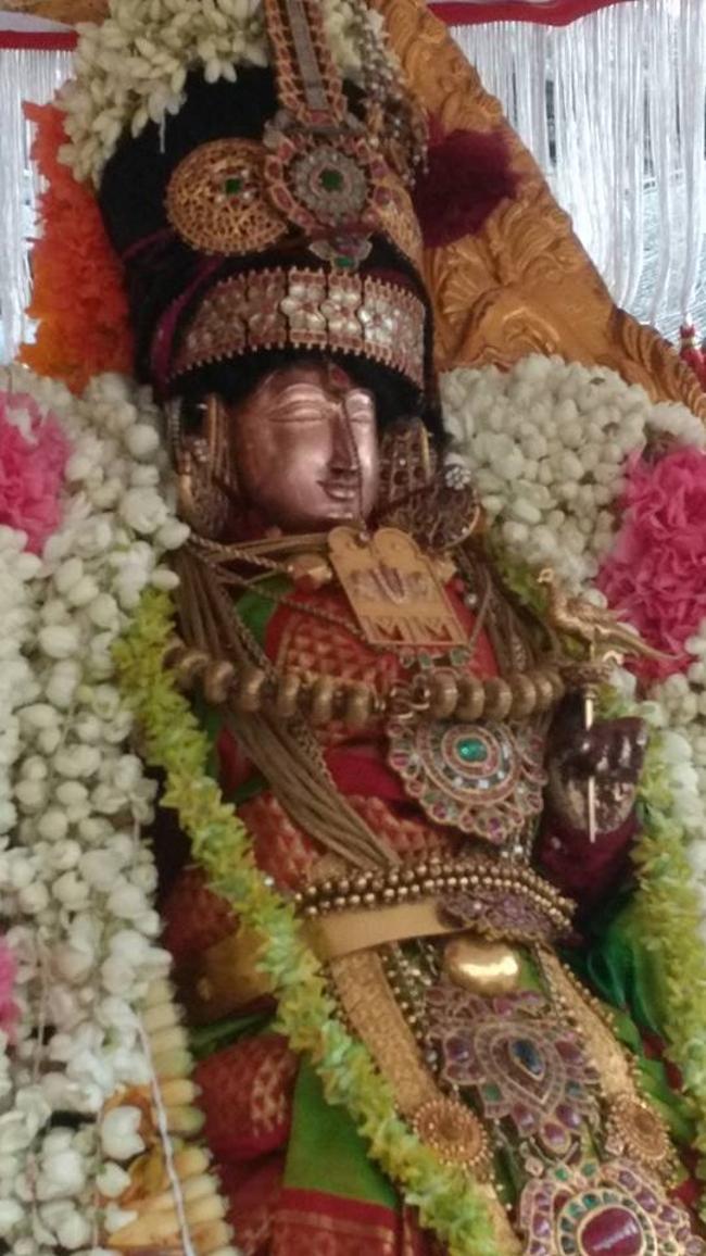 Kanchi-Sri-Varadaraja-Perumal17
