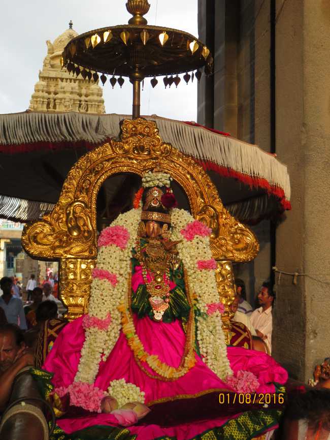 Kanchi_Sri_Varadaraja_Perumal_Temple_Thiruvaadipooram_08