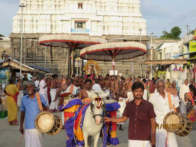 Kanchi_Sri_Varadaraja_Perumal_Temple_Thiruvaadipooram_10